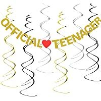 SEELOK Pancarta de Feliz Cumpleaños 13 OFFICIAL TEENAGER Banner con 6 piezas de Decoración Colgante de Remolinos de…